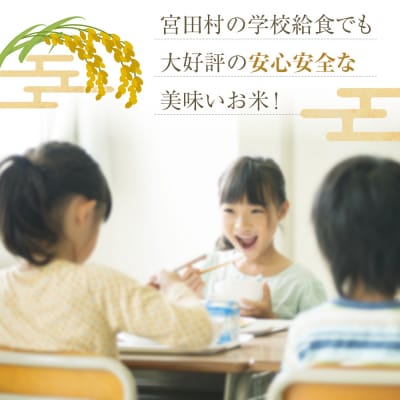 【先行受付】【令和7年米】【新米】長野県宮田村産コシヒカリ/玄米/10kg/11月配送