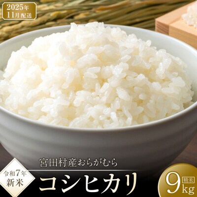 【先行受付】【令和7年米】長野県宮田村産コシヒカリ/精米/9kg/11月配送