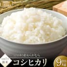 【先行受付】【令和7年米】【新米】長野県宮田村産コシヒカリ/精米/9kg/12月配送