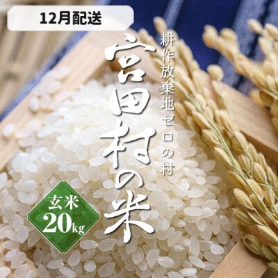 長野県産お米　令和6年度産　20kg 長野県産お米 令和6年度産 20kg