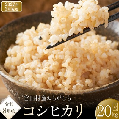 【先行受付】【令和8年米】長野県宮田村産コシヒカリ/玄米20kg・36,000円/令和9年2月配送