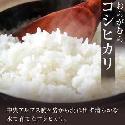 【先行受付】【令和7年米】【新米】長野県宮田村産コシヒカリ/精米/18kg/令和8年2月配送