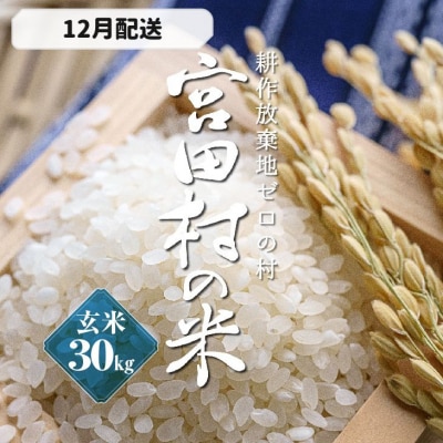 コシヒカリ新米☆9月4日稲刈り☆玄米30キロ！