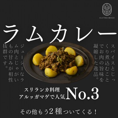 【厳選5種】スリランカの五つ星ホテルシェフ開発　スリランカカレー