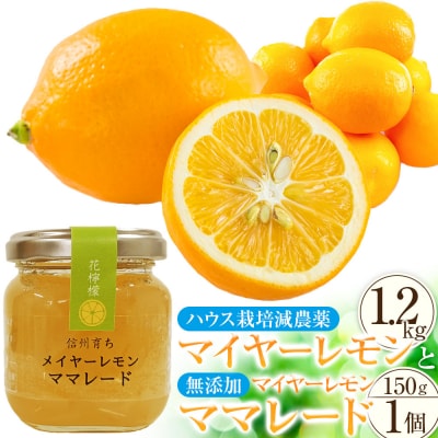 (先行受付)【南信州レモン】ハウス栽培減農薬「マイヤーレモン」と無添加「マイヤーレモン ママレード」