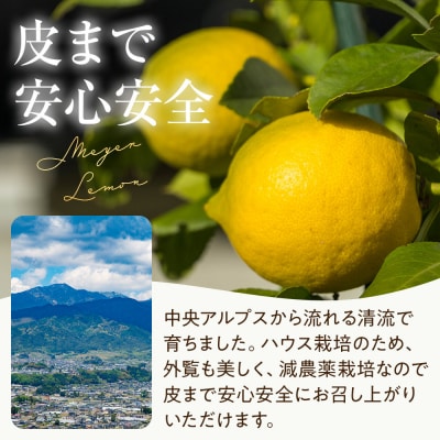 (先行受付)【南信州レモン】ハウス栽培減農薬「マイヤーレモン」と無添加「マイヤーレモン ママレード」