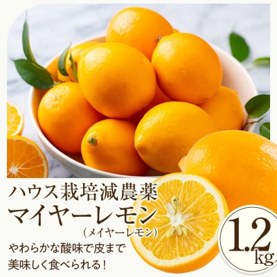 (先行受付)【南信州レモン】ハウス栽培減農薬「マイヤーレモン」と無添加「マイヤーレモン ママレード」