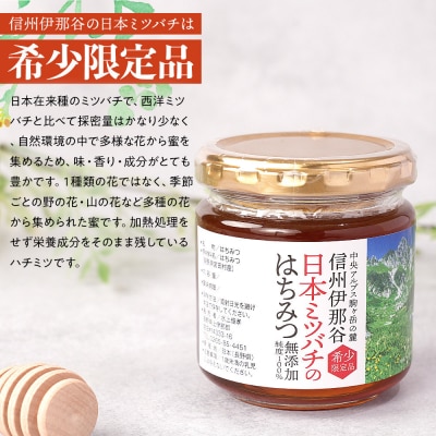 日本ミツバチのはちみつ 200g×1本