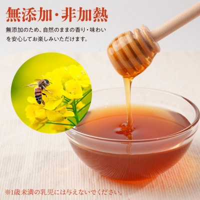 日本ミツバチのはちみつ 200g×2本