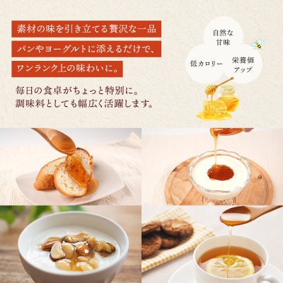 日本ミツバチのはちみつ 200g×2本