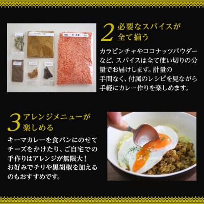 【定期便】スパイスカレーの厳選ミールキットとおすすめスパイス商品
