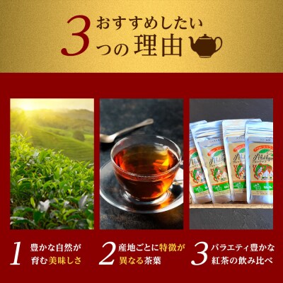 【日本紅茶協会認定】おいしい紅茶の店が選ぶルースティー4種セット