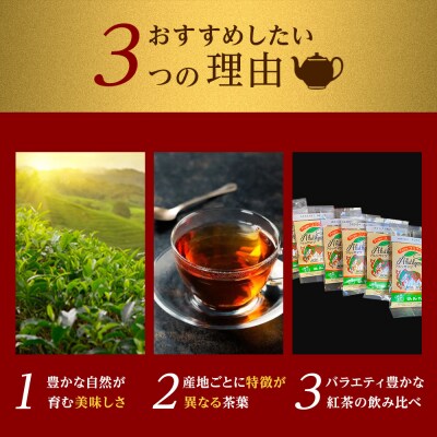 【日本紅茶協会認定】おいしい紅茶の店が選ぶティーバッグ6種セット