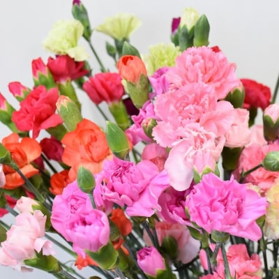 宮田村産『カーネーション』の花束　(通常発送、4月～10月発送)
