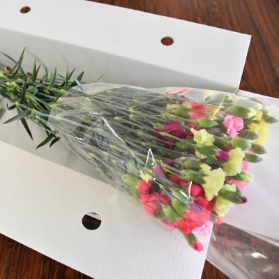 宮田村産『カーネーション』の花束　(通常発送、4月～10月発送)