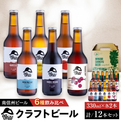 南信州ビール「Ogna」12本セット