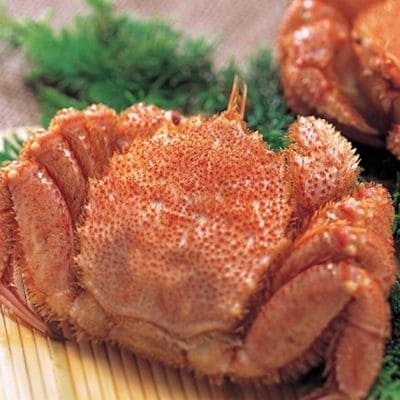 海産物詰合せ D-01010