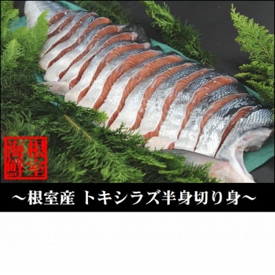 銀毛鮭の半身切身 A-57014