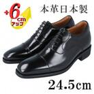 牛革内羽根ストレートチップ 6cmアップシークレットシューズ No.1301 黒 24.5cm