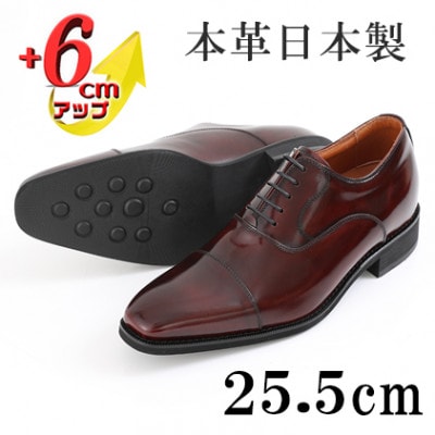牛革内羽根ストレートチップ 6cmアップシークレットシューズ No.1301 ワイン 25.5cm