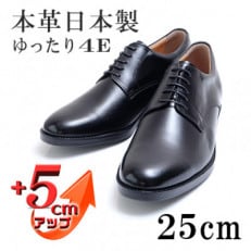 メンズビジネスシューズ 5cmアップ本革シークレットシューズ 紐 No.1693 黒 25cm