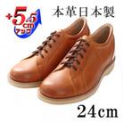 幅広本革スニーカー紐タイプ 5.5cmアップシークレットシューズ キャメル 24cm No.516