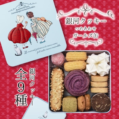 銀河クッキー 詰め合わせ ガールズ缶