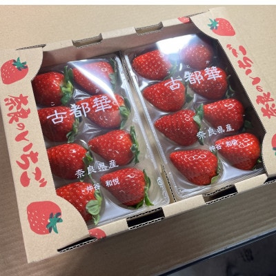 奈良県大和郡山市産いちご 古都華 約270g×2パック