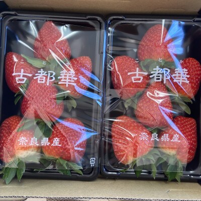 奈良県産　古都華いちご　250g×4パック