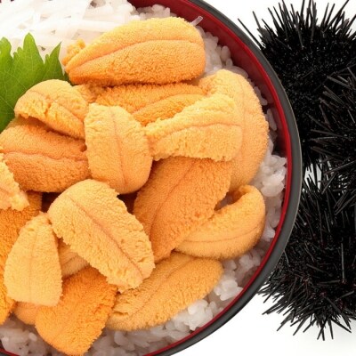 ムラサキウニ塩水パック80g～90g×2P A-24001