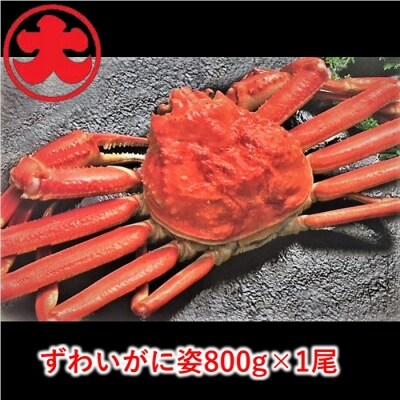 ずわいがに姿800g×1尾 B-01043