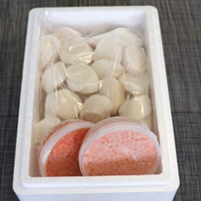 いくら醤油漬け100g×2P、ほたて貝柱500g×1P B-70019