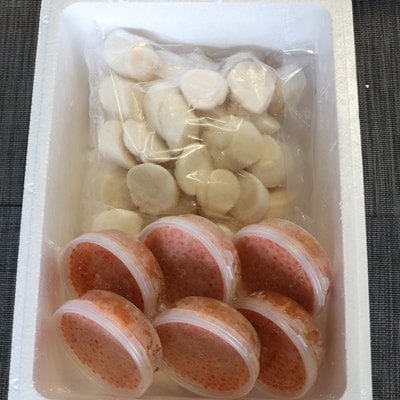 いくら醤油漬け100g×6P、ほたて貝柱500g×4P D-36034