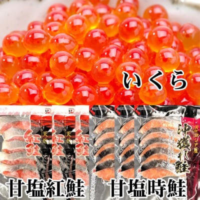 紅鮭5切×10P、時鮭5切×10P、いくら100g×5P E-30002