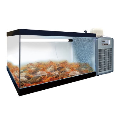 活魚水槽 潮 900ZR 水槽フルセット