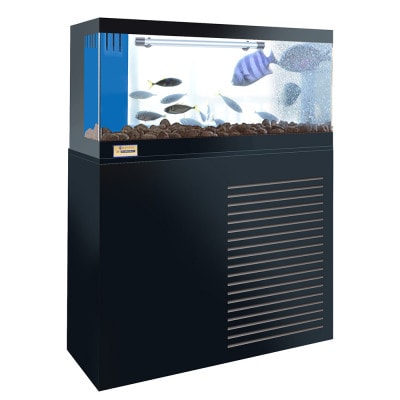 活魚水槽 潮 2型 水槽フルセット
