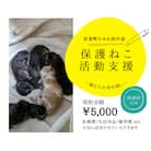 【5,000円】保護猫活動支援～望まれず生まれる命を無くし、行き場を失った猫たちの幸せ探し～