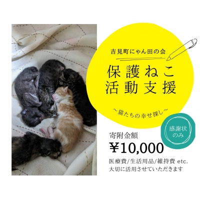 【10,000円】保護猫活動支援～望まれず生まれる命を無くし、行き場を失った猫たちの幸せ探し～