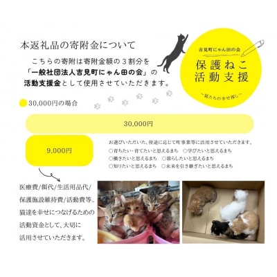 【30,000円】保護猫活動支援～望まれず生まれる命を無くし、行き場を失った猫たちの幸せ探し～