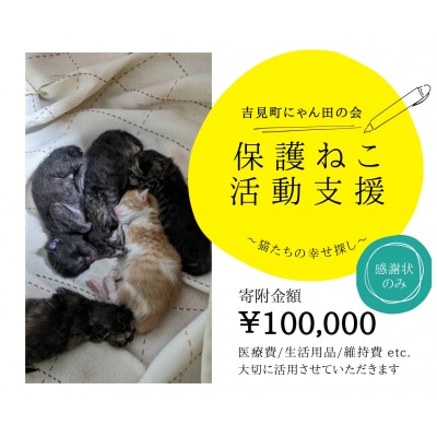 【100,000円】保護猫活動支援～望まれず生まれる命を無くし、行き場を失った猫たちの幸せ探し～