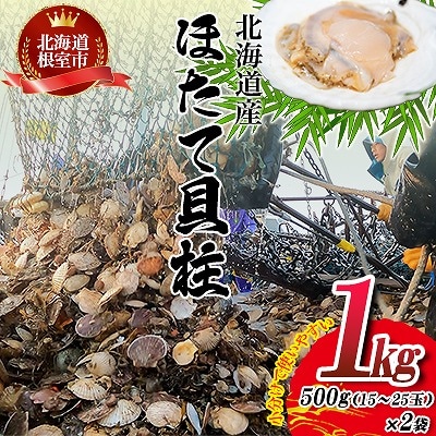 ＼漁業者応援品/ほたて貝柱500g×2P(計1kg) A-45001