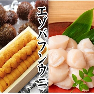 ウニ140g×1折、お刺身ホタテ貝柱500g×1P E-40019