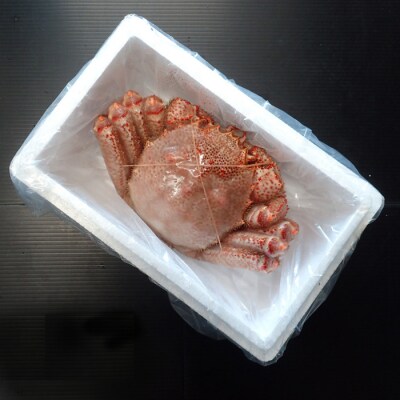 ボイル毛がに(新物)900g～1.1kg×1尾 D-14056