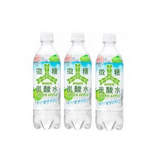 三ツ矢微糖炭酸水グリーンアップルPET490ml 24本