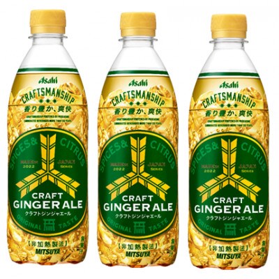 三ツ矢クラフトジンジャーエールPET500ml　24本