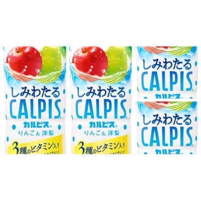 「しみわたるカルピス(R) りんご&洋梨」PET 490ml×24本