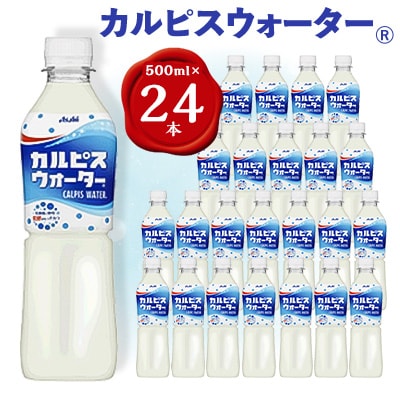【2ヵ月毎定期便】『カルピスウォーター』PET500ml　24本　隔月全6回