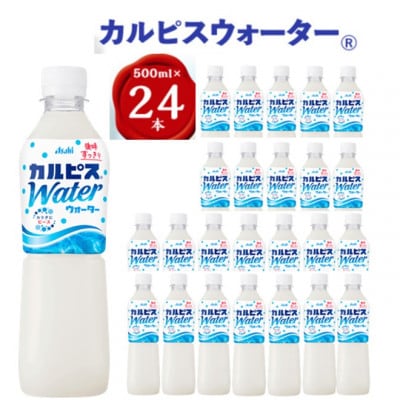 【2ヵ月毎定期便】『カルピスウォーター』PET500ml　24本　隔月全6回