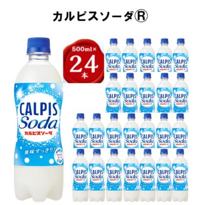 【2ヵ月毎定期便】『カルピスソーダ』PET500ml　24本　隔月全6回