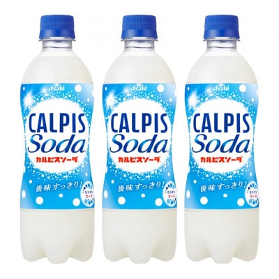 【2ヵ月毎定期便】『カルピスソーダ』PET500ml　24本　隔月全6回